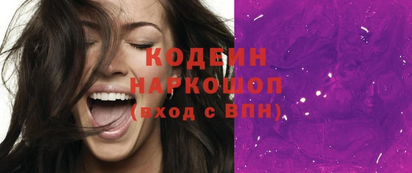 индика Аркадак
